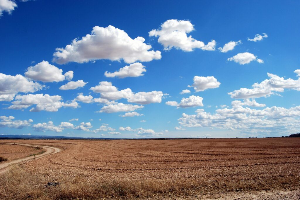 Working Lands Trust Awarded Farmland Preservation Grants To Protect Farms Across NC
