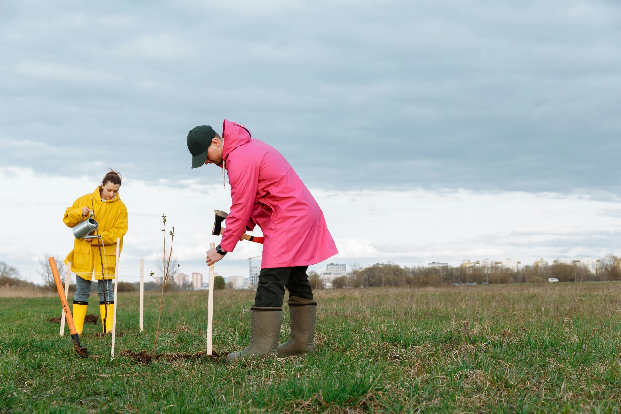 Two volunteers planting trees in a grass field wearing colorful raincoats and boots.