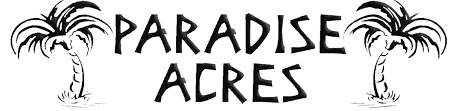 paradise aces (1)